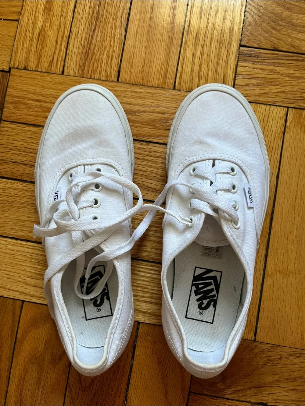 Vans White Authentic Canvas Sneakers